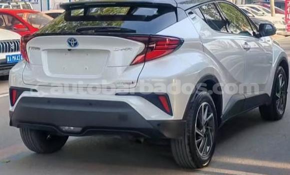 Buy Used Toyota C-HR White Car in Bridgetown in Barbados Buy Used Toyota C-HR White Car in Bridgetown in Barbados