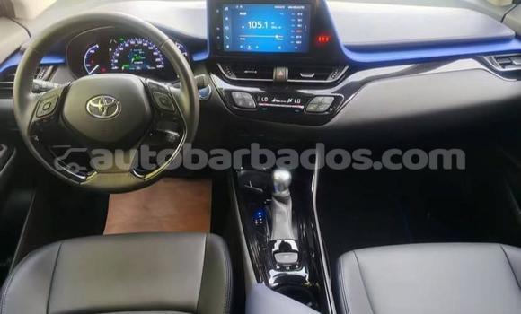 Buy Used Toyota C-HR White Car in Bridgetown in Barbados Buy Used Toyota C-HR White Car in Bridgetown in Barbados