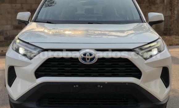 Buy Used Toyota RAV4 White Car in Bridgetown in Barbados