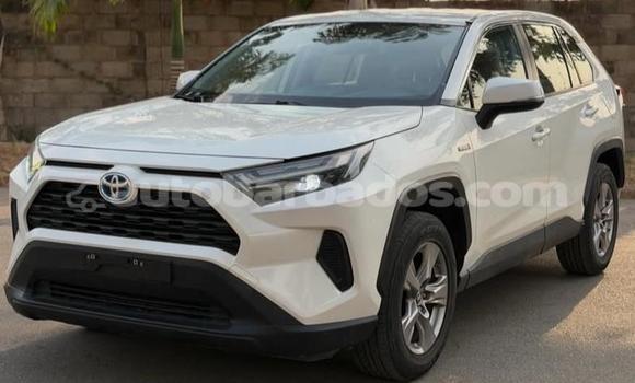 Buy Used Toyota RAV4 White Car in Bridgetown in Barbados Buy Used Toyota RAV4 White Car in Bridgetown in Barbados