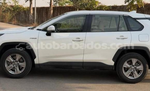 Buy Used Toyota RAV4 White Car in Bridgetown in Barbados Buy Used Toyota RAV4 White Car in Bridgetown in Barbados