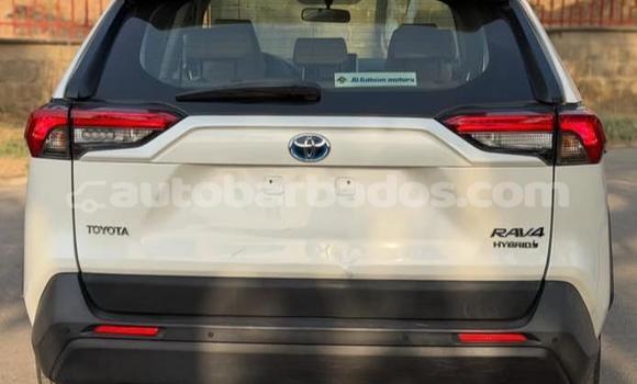 Buy Used Toyota RAV4 White Car in Bridgetown in Barbados Buy Used Toyota RAV4 White Car in Bridgetown in Barbados