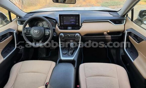 Buy Used Toyota RAV4 White Car in Bridgetown in Barbados Buy Used Toyota RAV4 White Car in Bridgetown in Barbados