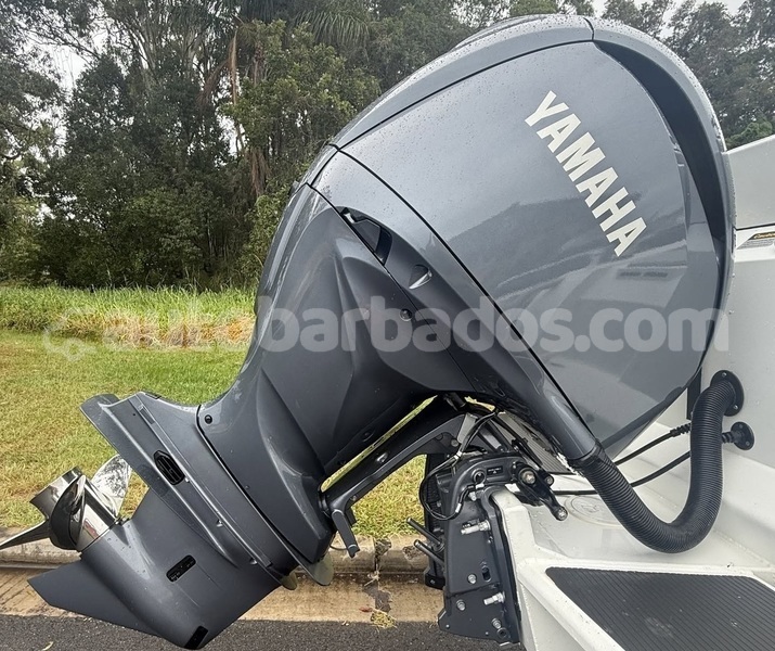 Big with watermark zx landmark barbados bridgetown 4981