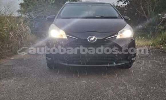 Buy Used Toyota Vitz Black Car in Bridgetown in Barbados