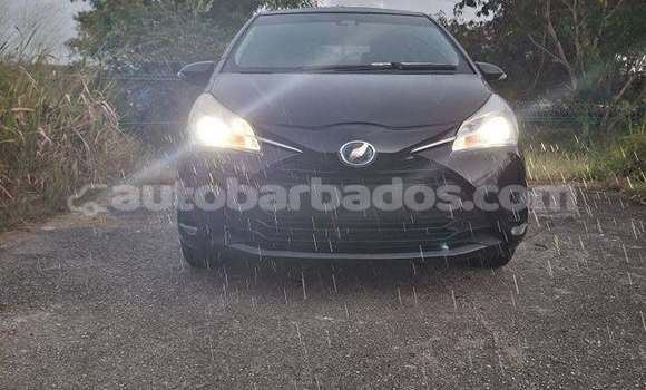 Buy Used Toyota Vitz Black Car in Bridgetown in Barbados Buy Used Toyota Vitz Black Car in Bridgetown in Barbados