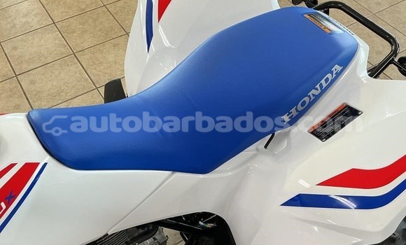 Buy New Honda TRX Other Bike in Greenland in Barbados Buy New Honda TRX Other Bike in Greenland in Barbados