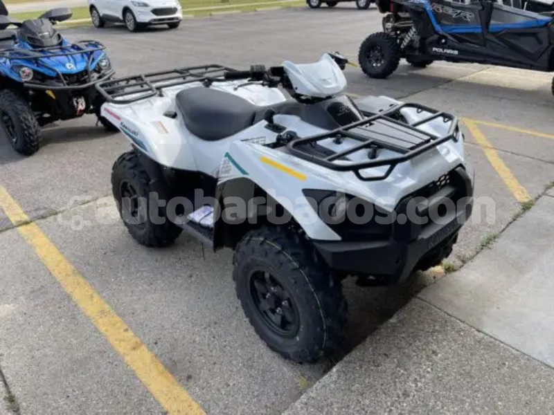 Big with watermark kawasaki brute force barbados crane 4990