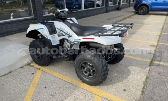 Buy New Kawasaki Brute Force White Bike in Crane in Barbados Buy New Kawasaki Brute Force White Bike in Crane in Barbados