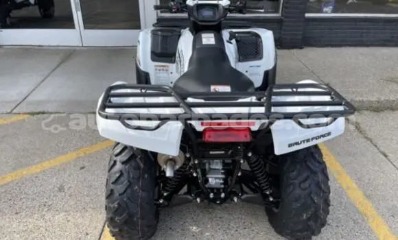 Buy New Kawasaki Brute Force White Bike in Crane in Barbados Buy New Kawasaki Brute Force White Bike in Crane in Barbados