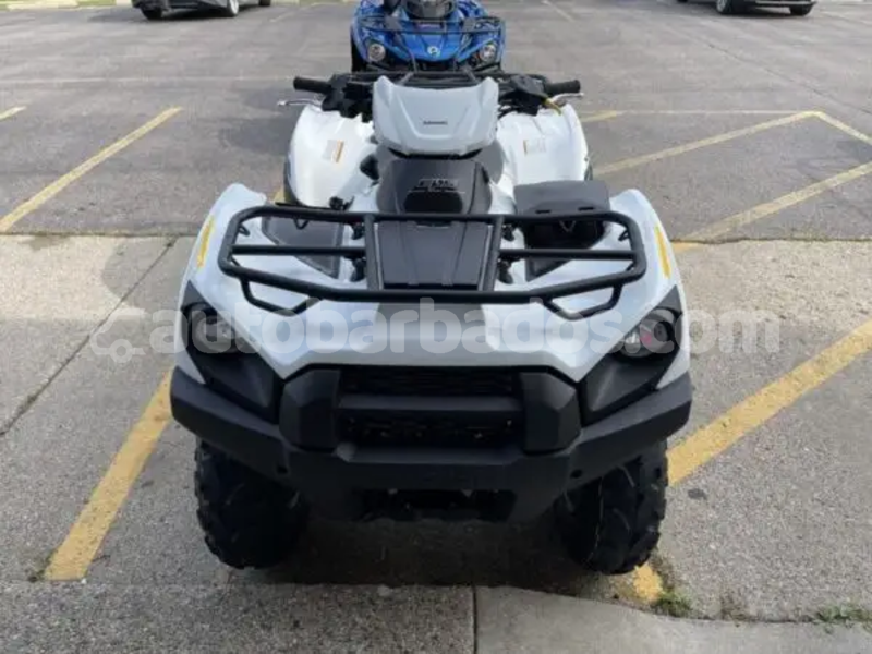 Big with watermark kawasaki brute force barbados crane 4990