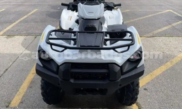 Buy New Kawasaki Brute Force White Bike in Crane in Barbados Buy New Kawasaki Brute Force White Bike in Crane in Barbados