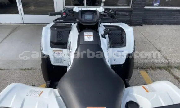 Buy New Kawasaki Brute Force White Bike in Crane in Barbados Buy New Kawasaki Brute Force White Bike in Crane in Barbados