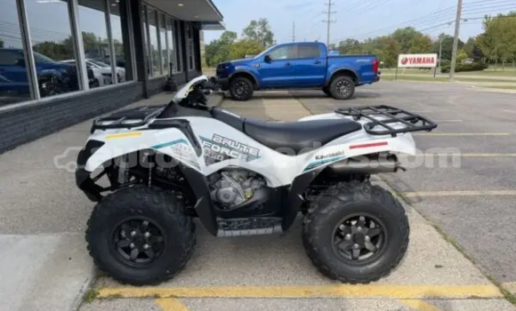Buy New Kawasaki Brute Force White Bike in Crane in Barbados Buy New Kawasaki Brute Force White Bike in Crane in Barbados