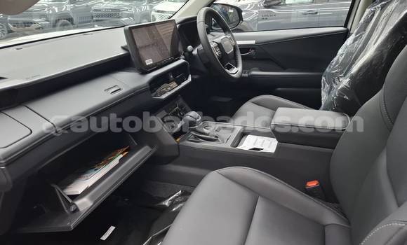 Buy Import Toyota Hilux White Car in Bridgetown in Barbados Buy Import Toyota Hilux White Car in Bridgetown in Barbados