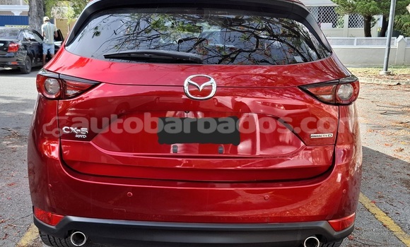 Buy Used Mazda CX-5 Red Car in Bridgetown in Barbados Buy Used Mazda CX-5 Red Car in Bridgetown in Barbados