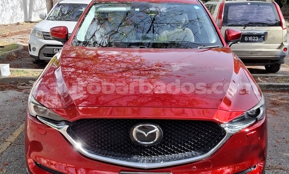 Buy Used Mazda CX-5 Red Car in Bridgetown in Barbados Buy Used Mazda CX-5 Red Car in Bridgetown in Barbados