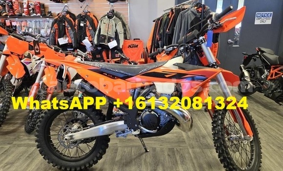 Buy New KTM SX Beige Bike in Import - Dubai in Barbados Buy New KTM SX Beige Bike in Import - Dubai in Barbados