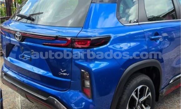 Buy Import Toyota Urban Cruiser Blue Car in Bridgetown in Barbados Buy Import Toyota Urban Cruiser Blue Car in Bridgetown in Barbados