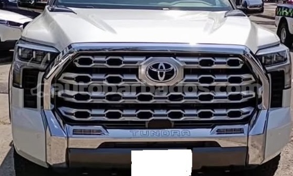 Buy Used Toyota Tundra White Car in Bridgetown in Barbados Buy Used Toyota Tundra White Car in Bridgetown in Barbados