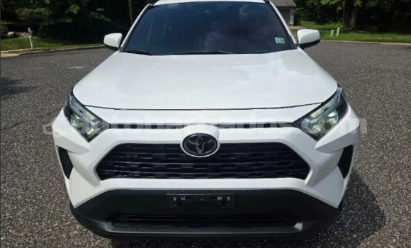 Buy Used Toyota RAV4 White Car in Hillaby in Barbados