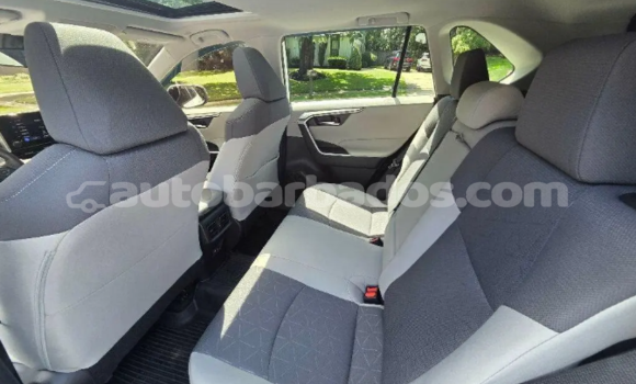 Buy Used Toyota RAV4 White Car in Greenland in Barbados Buy Used Toyota RAV4 White Car in Greenland in Barbados