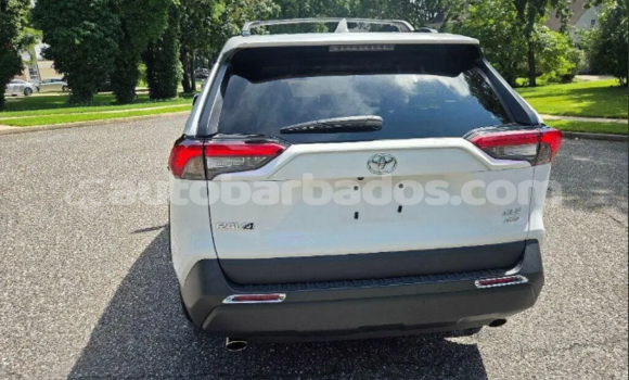 Buy Used Toyota RAV4 White Car in Greenland in Barbados Buy Used Toyota RAV4 White Car in Greenland in Barbados