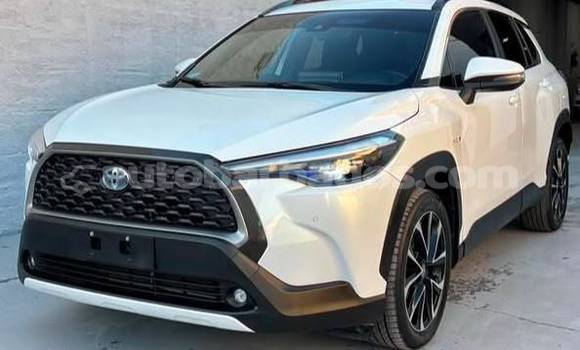 Buy Used Toyota Corolla Cross White Car in Bridgetown in Barbados