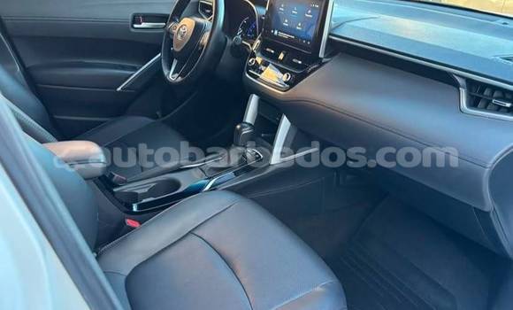 Buy Used Toyota Corolla Cross White Car in Bridgetown in Barbados Buy Used Toyota Corolla Cross White Car in Bridgetown in Barbados