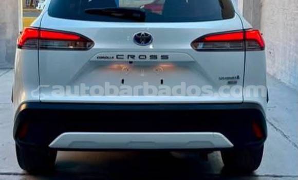 Buy Used Toyota Corolla Cross White Car in Bridgetown in Barbados Buy Used Toyota Corolla Cross White Car in Bridgetown in Barbados