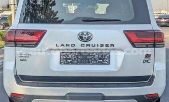 Buy Used Toyota Land Cruiser White Car in Bridgetown in Barbados Buy Used Toyota Land Cruiser White Car in Bridgetown in Barbados