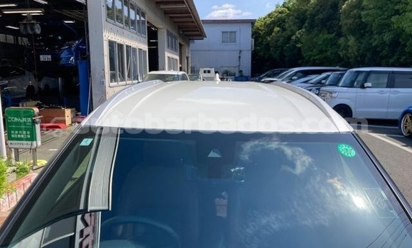 Buy Used Nissan Kix White Car in Bridgetown in Barbados Buy Used Nissan Kix White Car in Bridgetown in Barbados