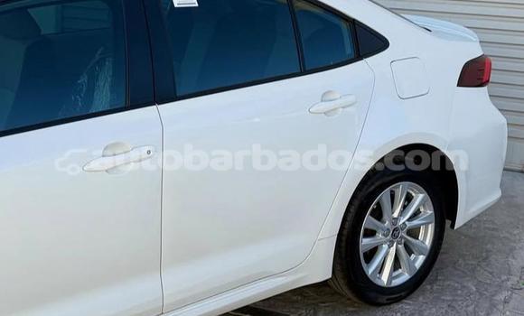 Buy Used Toyota Corolla White Car in Bridgetown in Barbados Buy Used Toyota Corolla White Car in Bridgetown in Barbados