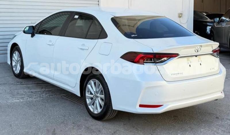 Big with watermark toyota corolla barbados bridgetown 5024