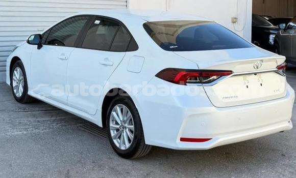 Buy Used Toyota Corolla White Car in Bridgetown in Barbados Buy Used Toyota Corolla White Car in Bridgetown in Barbados