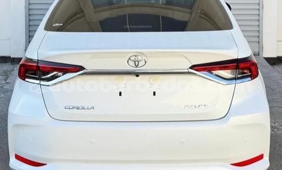 Buy Used Toyota Corolla White Car in Bridgetown in Barbados Buy Used Toyota Corolla White Car in Bridgetown in Barbados