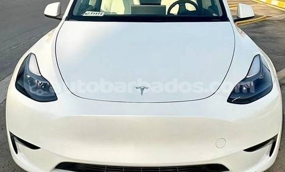 Buy Used Tesla Model X White Car in Bridgetown in Barbados