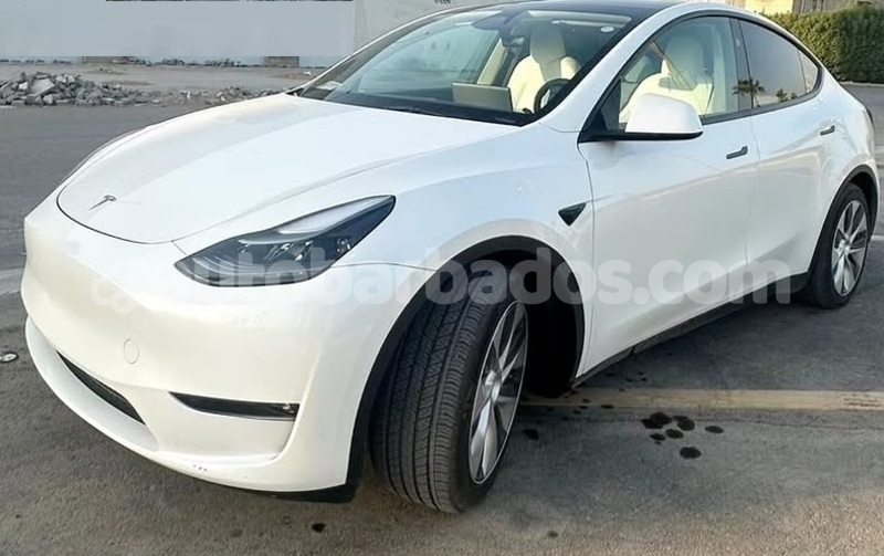 Big with watermark tesla model x barbados bridgetown 5033