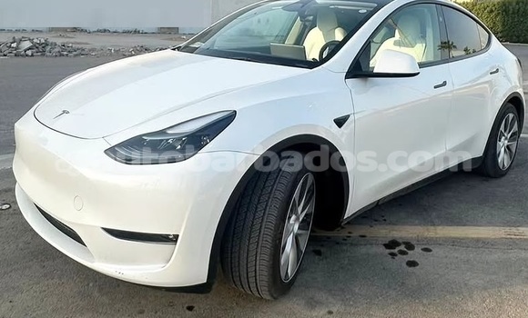 Buy Used Tesla Model X White Car in Bridgetown in Barbados Buy Used Tesla Model X White Car in Bridgetown in Barbados