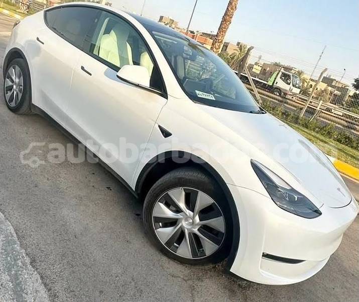 Big with watermark tesla model x barbados bridgetown 5033