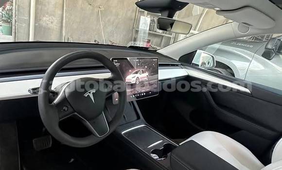 Buy Used Tesla Model X White Car in Bridgetown in Barbados Buy Used Tesla Model X White Car in Bridgetown in Barbados