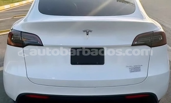 Buy Used Tesla Model X White Car in Bridgetown in Barbados Buy Used Tesla Model X White Car in Bridgetown in Barbados