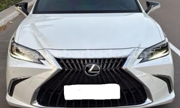 Buy Used Lexus ES White Car in Bridgetown in Barbados Buy Used Lexus ES White Car in Bridgetown in Barbados