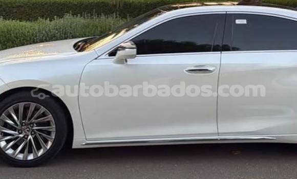 Buy Used Lexus ES White Car in Bridgetown in Barbados Buy Used Lexus ES White Car in Bridgetown in Barbados