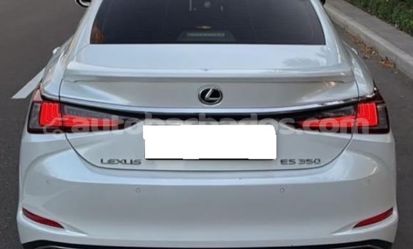 Buy Used Lexus ES White Car in Bridgetown in Barbados Buy Used Lexus ES White Car in Bridgetown in Barbados