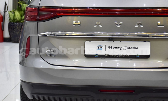 Buy Import Haval H6 Silver Car in Import - Dubai in Barbados Buy Import Haval H6 Silver Car in Import - Dubai in Barbados