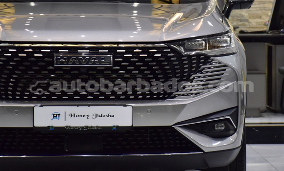 Buy Import Haval H6 Silver Car in Import - Dubai in Barbados Buy Import Haval H6 Silver Car in Import - Dubai in Barbados