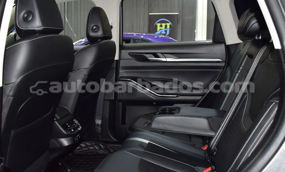 Buy Import Haval H6 Silver Car in Import - Dubai in Barbados Buy Import Haval H6 Silver Car in Import - Dubai in Barbados