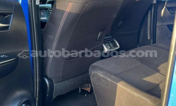 Buy Import Toyota Hilux Blue Car in Import - Dubai in Barbados Buy Import Toyota Hilux Blue Car in Import - Dubai in Barbados