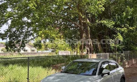 Buy Used Honda Vezel White Car in Greenland in Barbados Buy Used Honda Vezel White Car in Greenland in Barbados